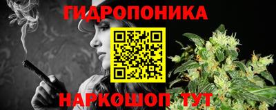 индика Пушкино