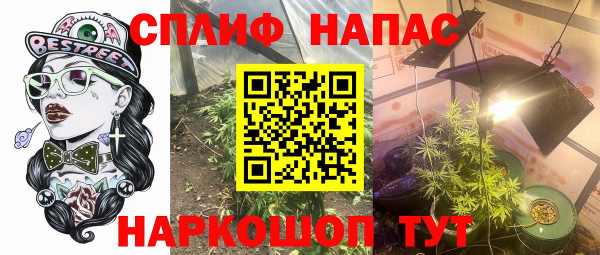Каннабис SATIVA & INDICA Саратов